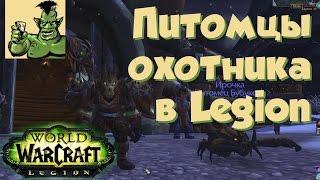 World of Warcraft: питомцы охотника в дополнении Legion