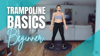 Trampoline Basics 15 MIN Rebounder Workout | Beginner Bounce Cardio