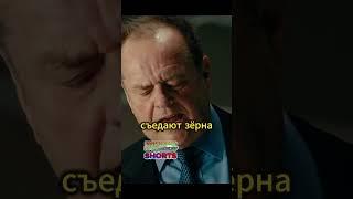 Как делают самый элитный кофе.? Фильм "Пока не сыграл в ящик"  #кино #фильмы #фильм