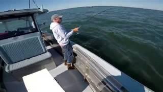 Full Boat Review - Metal Shark 32 Fearless Followed by Albie Fishing!