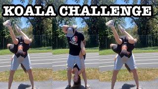 THE KOALA CHALLENGE !!