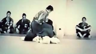 Одна из лучших демонстраций Дайто-рю Айки-дзюдзюцу, 1990 (Daito Ryu Aikijujutsu, best demonstration)