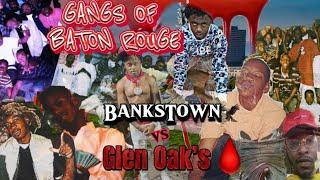 The“Most VIOLENT WAR” in BATON ROUGE :They Terrorized The City|Yg’z/Vulturez& Pc’z/ Bleedaz🩸-Pt.2