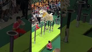 Singapore Jin Heng Dragon & Lion Dance Centre首届利达广场新马南狮高桩锦标赛The Seletar Mall 7Jun 2025