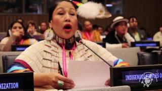 Descendant of Sitting Bull speaks at UN about fight against Dakota Access and State Violence