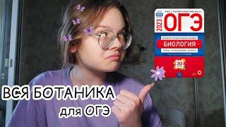 ВСЯ БОТАНИКА ДЛЯ ОГЭ РОХЛОВА