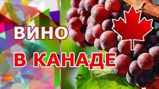 Виноделие в Канаде. Вино Онтарио. Тур на виноградники и винодельни производства Ниагарского региона