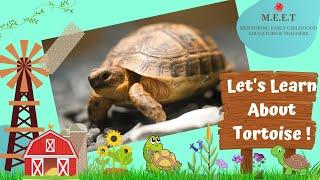 Let's Learn About the Tortoise!  online preschool learning videos for kids
