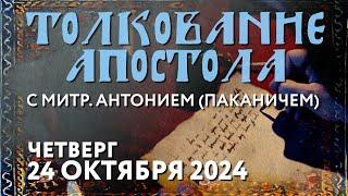 Четверг, 24 октября 2024 года. Толкование Апостола с митр. Антонием (Паканичем).