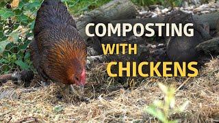 Features of our Permaculture Chicken Pen and Compost Area