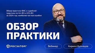 Обзор практики ФАС и судебной практики по 44-ФЗ и 223-ФЗ за 2024 год: наиболее частые ошибки