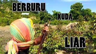 BERBURU KUDA LIAR BAGIAN II (FILM LA ONE MBOJO)