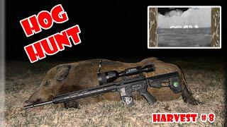 Hog Hunt - Harvest 8 of the Year