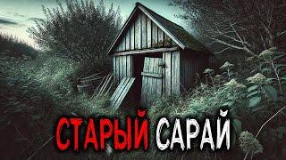 На ОКРАИНЕ ДЕРЕВНИ ИСЧЕЗАЕТ Ребенок в СТАРОМ САРАЕ. Страшные Деревенские Истории