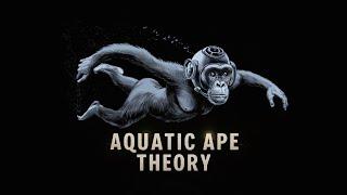Aquatic Ape Theory