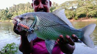 Octopus Hook Fishing അന്തകനായി പുതിയൊരു അവതാരം... നീരാളി  ചൂണ്ട )തീറ്റിയിൽ തൊട്ടാൽ കുടുങ്ങും