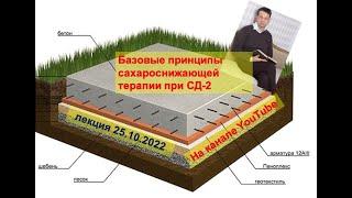 Базовые принципы сахароснижающей терапии при СД-2