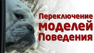 МОДЕЛИ ПОВЕДЕНИЯ ЛИЧНОСТИ и ИХ ПЕРЕКЛЮЧЕНИЯ