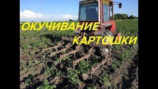 ОКУЧИВАНИЕ КАРТОФЕЛЯ ТРАКТОРОМ Т-25,СЕЗОН 2019/TURNING POTATOES BY TRACTOR T-25