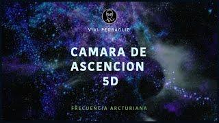 5D ASCENTION CHAMBER  ARCTURIAN HEALING CHAMBER | Vivi Pedraglio