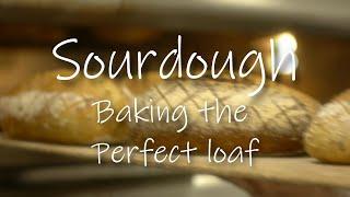 Sourdough: Baking the Perfect Loaf