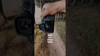 Canon R5 + 16-35mm f4L IS USMPrograde Digital 1.3 TB CFexpress Type B 4.0 Memory Card #shortsvideo