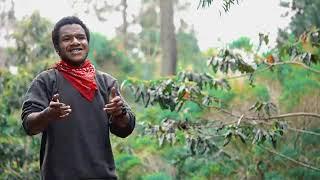 Kumul BossOfficial Music Video 2020