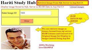 Retrieve Image From SQL Server BLOB Column in Asp.Net C# | Hindi | Free Online Learning Class