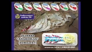 Анаконда от "Рыболовных войск" - резина, которая ловит