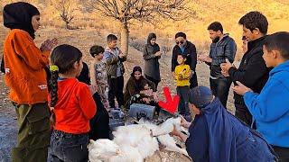 Great joy in the Grandma’s family with the birth of the white goat