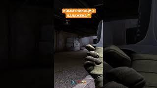 О коммуникации #видеоигры #ксго #приколы #csgo #игрыотпервоголица #шутеры #шутер #стрелялки