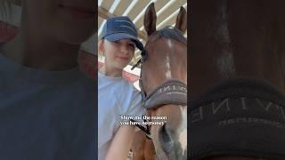 My money eater  #horse #money