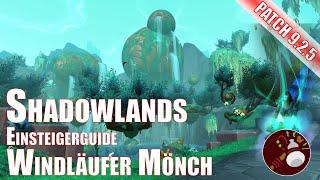 Windläufer Mönch Einsteigerguide Shadowlands World of Warcraft Patch 9.2.5