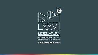 PUNTOS CONSTITUCIONALES | MESA DE TRABAJO. 19 DE JUNIO 2025