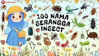 100 NAMA SERANGGA - BELAJAR NAMA HEWAN SERANGGA INDONESIA - INGGRIS | NAMES OF INSECT LEARN ANIMALS