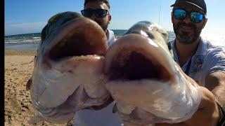 1/2 DORADAS a SURFCASTING en HUELVA, pesca SURFCASTING, SURFCASTING GRANADA