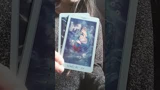 Embrace adventue, nurture the opportunities available, ideas/info incoming, release n let go! #tarot