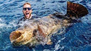 Giant Grouper Fishing Battle