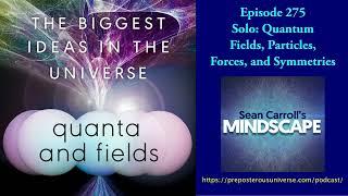 Mindscape 275 | Solo: Quantum Fields, Particles, Forces, and Symmetries