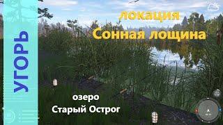 Русская рыбалка 4 - озеро Старый Острог - Угорь за камышом