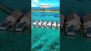 10 Reasons to visit the Maldives in 2024