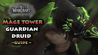 How to beat Guardian Druid Mage tower - full guide