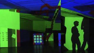 Digital Habitat (2003),  Early Projection Mapping Using Macromedia Director,  MediaArts Installation