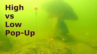 Underwater carp camera - High vs Low Pop Up test / Cloudy water.