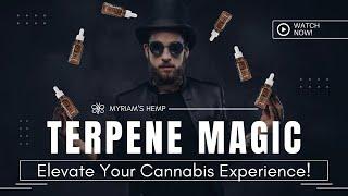 Terpene Magic: Elevate Your CBD Experience!