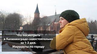 Что посмотреть в Калининграде самостоятельно за 1-2 дня. Маршруты по городу.