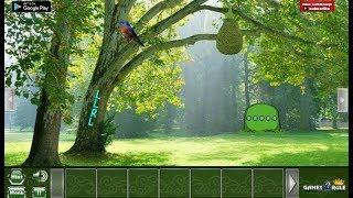 G2R King Frog Forest Escape Walkthrough [Games2Rule]