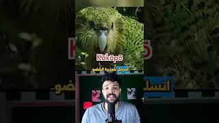 مخلوق صغير خلّى حكومة كاملة تتحرك
