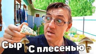 ПРОБУЕМ СЫР С ПЛЕСЕНЬЮ! Сыр с голубой плесенью «Джерси Блю»