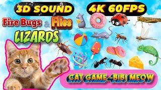 CAT GAMES BiBi TV | Ultimate Cat TV Compilation SPECIAL VOLUME #50 | 3 HOURS | Game On Screen 